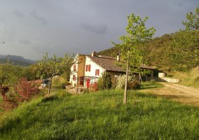 Le Merle