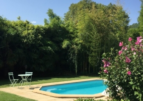 piscine jardin