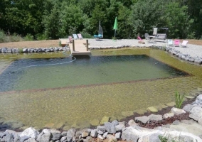 piscine naturelle solarium