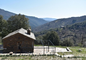 La Vigne