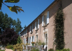 vegetation de la maison