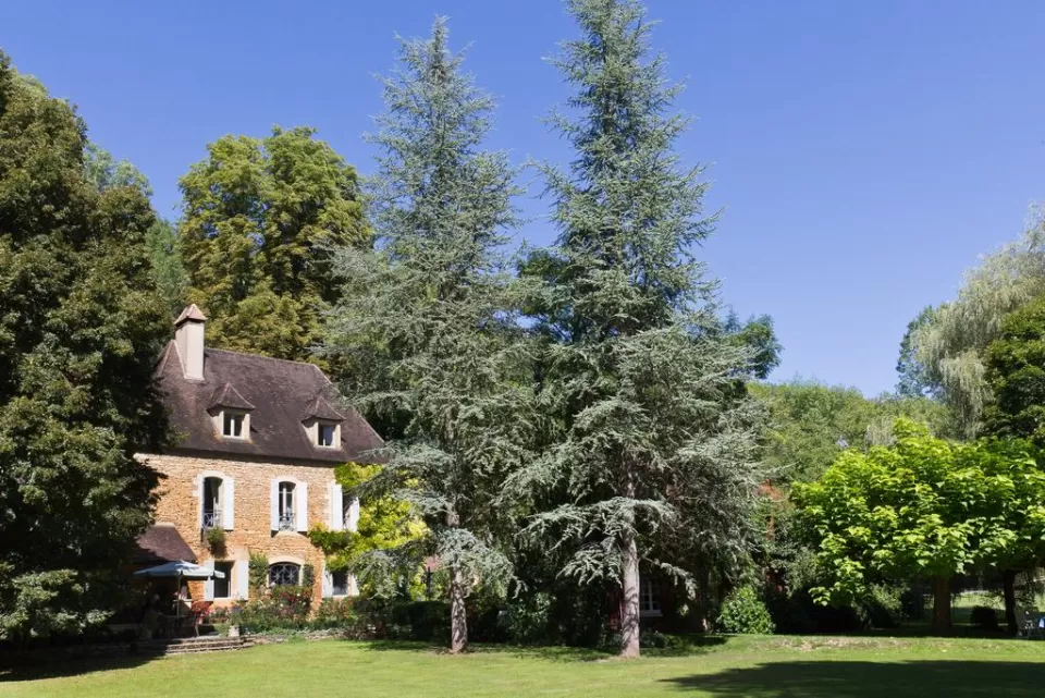 Le Moulin Neuf Paunat