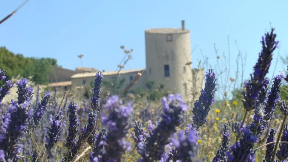 Château de la Gabelle- Gîte Roussillon