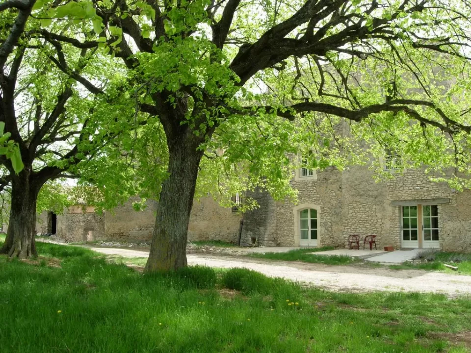 Château de la Gabelle- Gîte Bouton d'Or