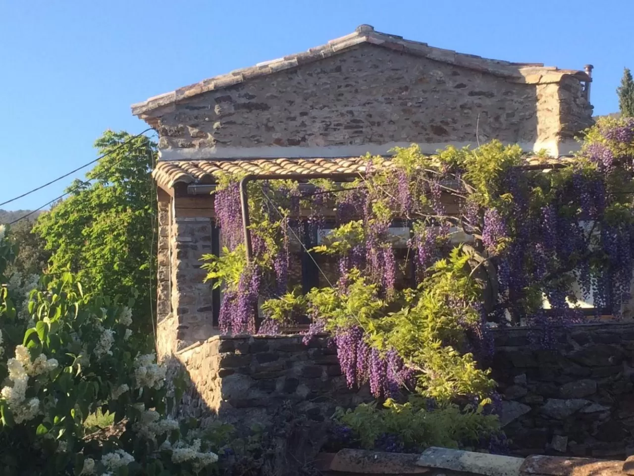 Hameau du Buisson- La Glycine