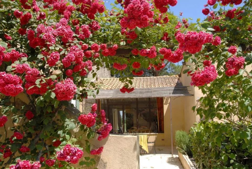 Antonelle Camargue- Terrasse Sud