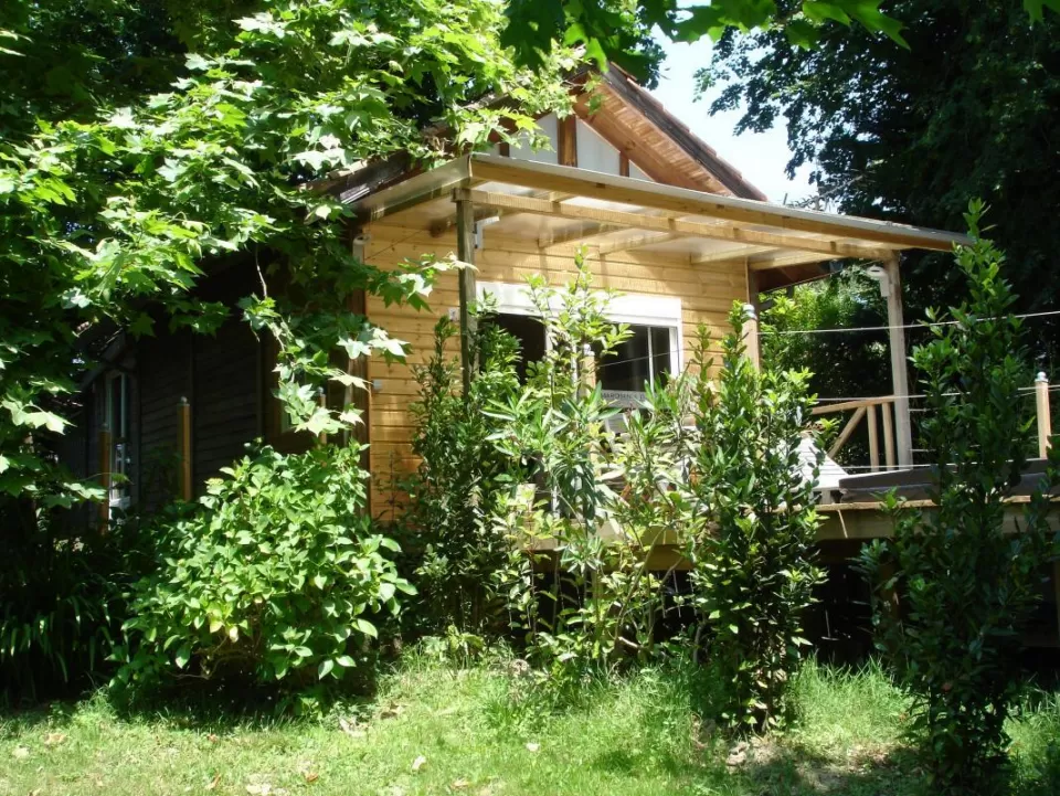 Marosenia Ttiki