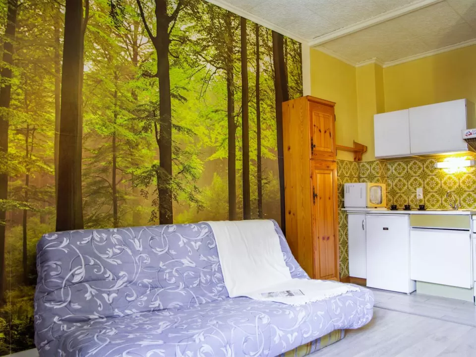 Le Savoisien- Appartement