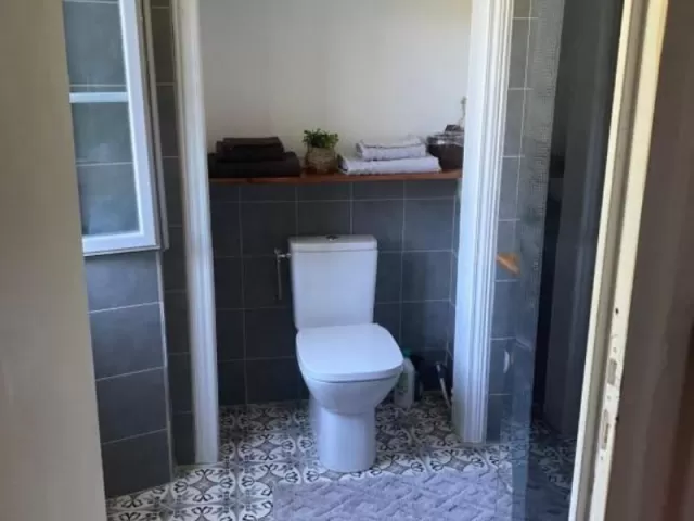 Verdor