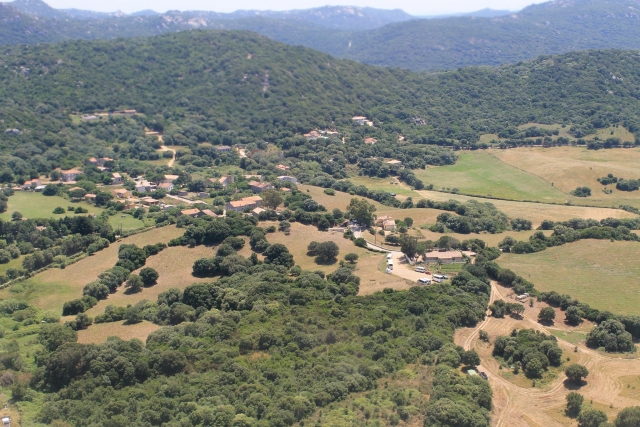 Figari 