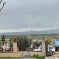 0_10450878-5269-42CE-B705-F02A97D0FD02.jpeg