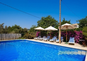  Piscine avec solarium 