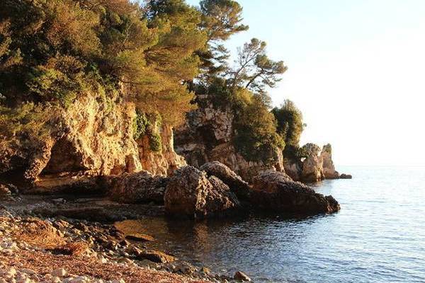 LES SERVICES QUE LA PLAGE PEUT OFFRIR
